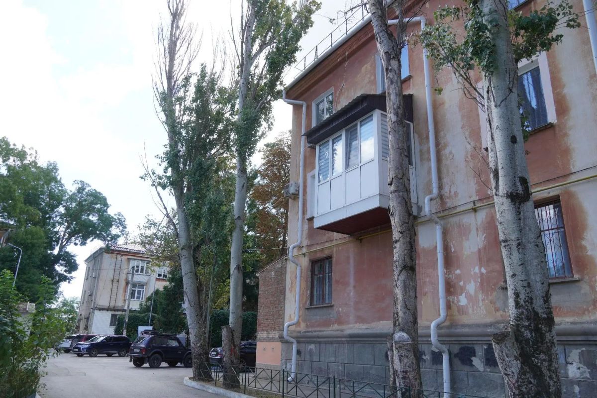 В центре Керчи оперативно снесли старый тополь В центре Керчи оперативно снесли старый тополь