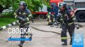 #�����������������. �� �������� ����� �������-������������ ������������� �� ��� ������ �� ���������� ���� ����������� ��: 14 �������, �� ���:
