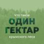 Крымский лес – уникальное природное сокровище