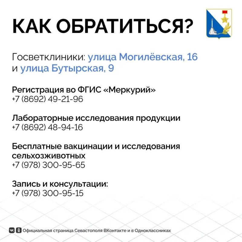 Ветеринарная служба Севастополя в августе организовала сотни проверок продукции и вакцинировала домашних животных Ветеринарная служба Севастополя в августе организовала сотни проверок продукции и вакцинировала домашних животных