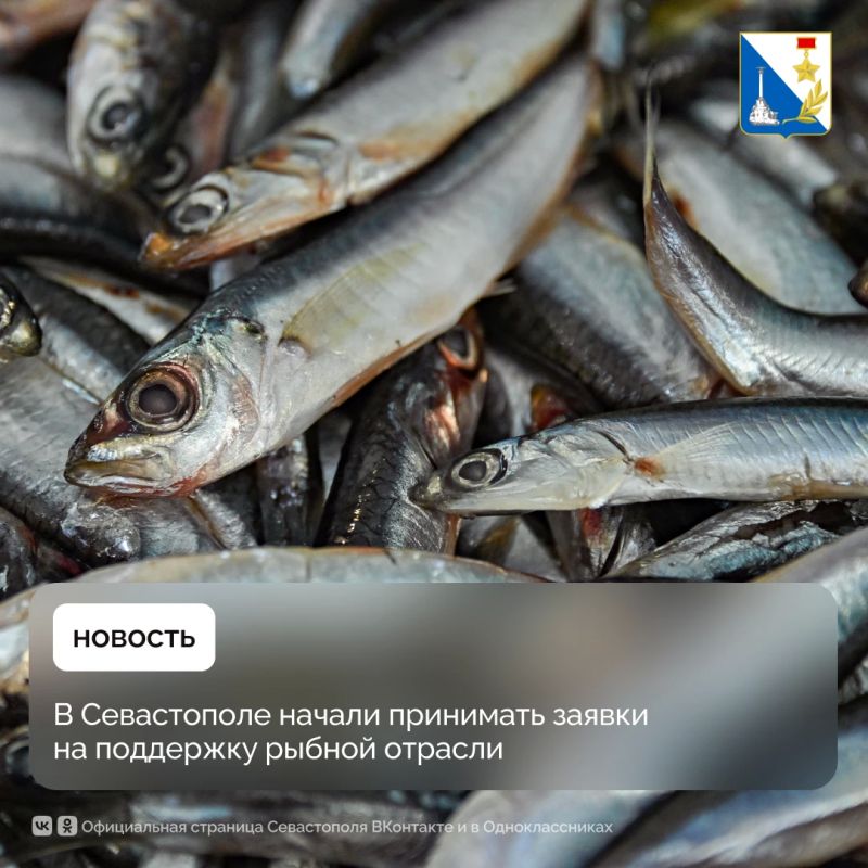 Севастопольские рыбаки могут подать документы на господдержку