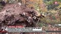 ���������� ����� � ���� ����� � ������ ������ ����������� ��� �������� � ������