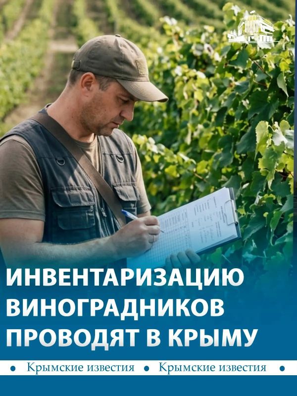 Расхождения на 1,3 миллиона виноградных кустов нашли специалисты в Крыму и Севастополе