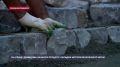 На улицу Демидова в Севастополе возвращают историческую брусчатку