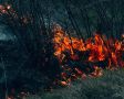 Высокая пожарная опасность объявлена в Севастополе на три дня