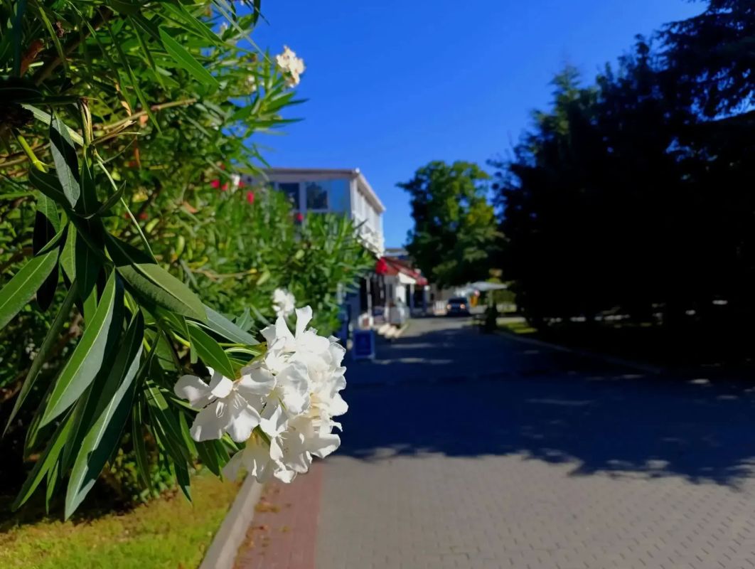 Завтра в Севастополе Облачно с прояснениями