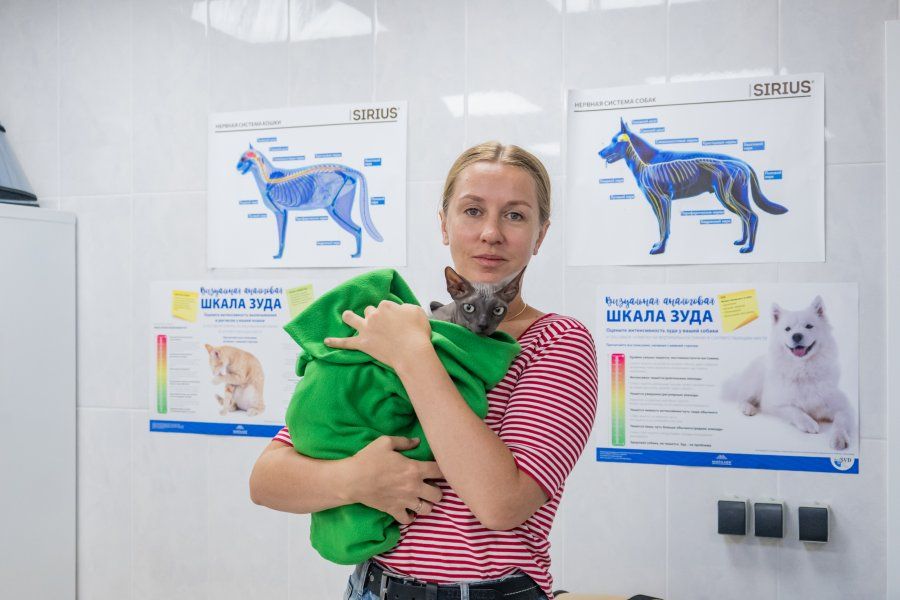 Специалисты госветклиники рассказали, как адаптировать новое животное в семье, где уже есть взрослый питомец Специалисты госветклиники рассказали, как адаптировать новое животное в семье, где уже есть взрослый питомец