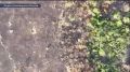 �������������� ���������� ��������� ������� ������� �������� ������ ��� � ����������� �������