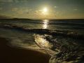 Спасти Азовское море: ученые из Крыма проведут комплексные исследования