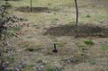 � ������ �������� ��������� ������� ����������