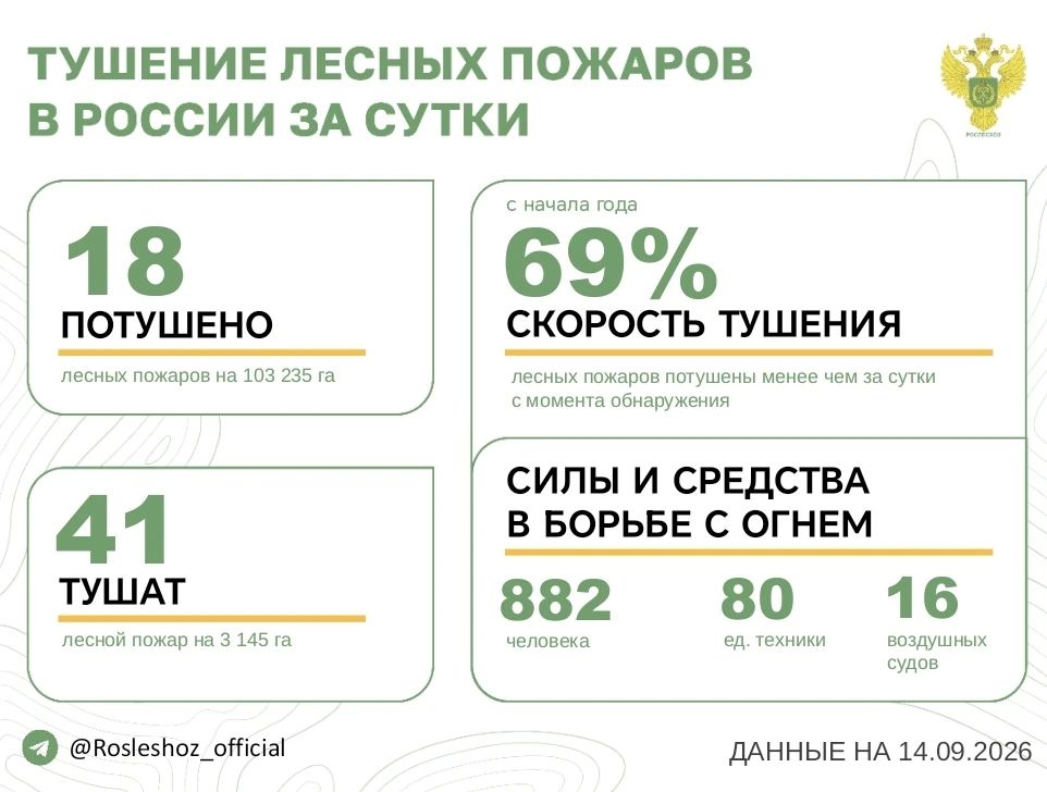 За прошедшие сутки в 10 регионах России потушили 18 лесных пожаров