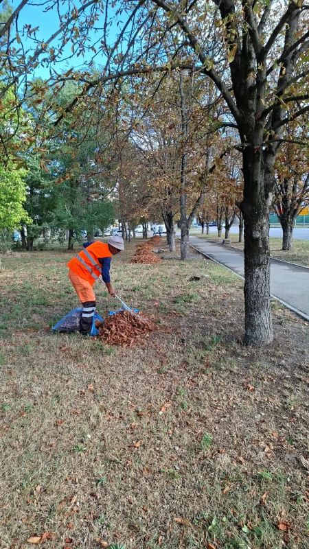 Чистота и порядок - результат ежедневного труда