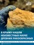 В Крыму нашли окаменелости древних ракообразных, которые могут оказаться неизвестными науке видами