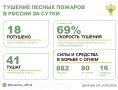 За прошедшие сутки в 10 регионах России потушили 18 лесных пожаров