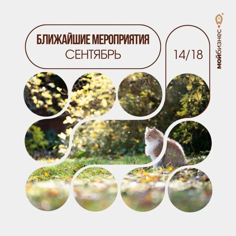 Успейте зарегистрироваться!
