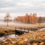 Первые заморозки в Нижегородской области ожидаются в конце сентября