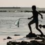 В Азовском море появились акулы, медузы и даже креветки из Тихого океана