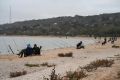 В Азовском море на фоне рекордной солености появились новые виды рыб
