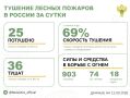 За прошедшие сутки в 11 регионах России потушили 25 лесных пожаров