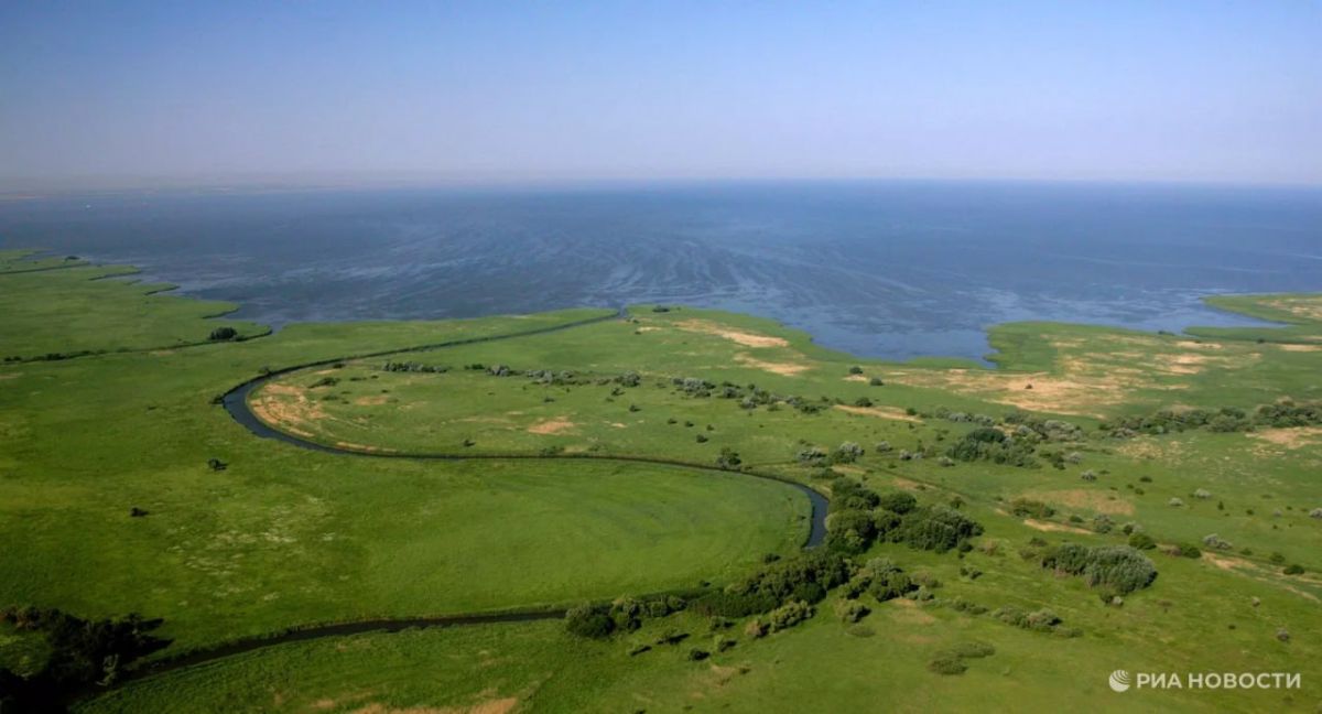 В Азовском море появились новые виды рыб