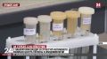 Около 14 тысяч исследований в год проводят специалисты ялтинского Центра гигиены и эпидемиологии