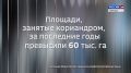 Крым в Цифрах: в Республике Крым озимыми зерновыми планируют засеять 502,118 тысяч гектаров