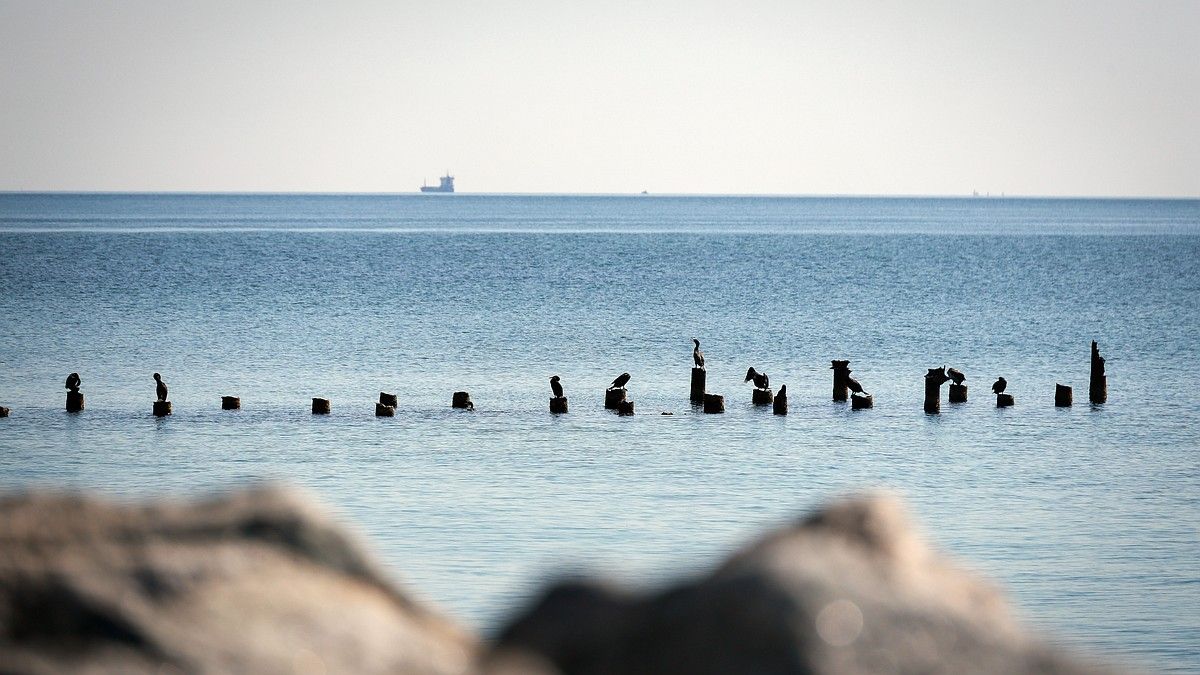Самолет-разведчик ВВС Британии заметили над Черным морем