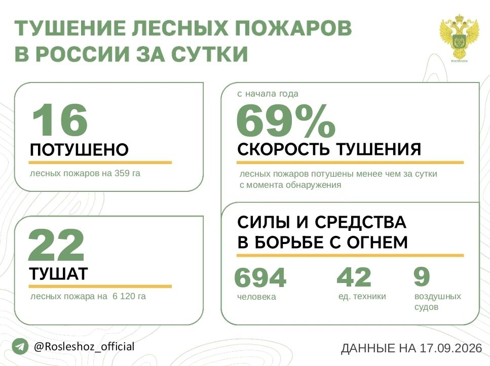 За прошедшие сутки в 10 регионах России потушили 16 лесных пожара