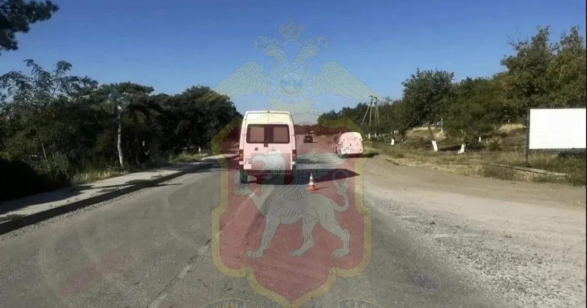 В Бахчисарайском районе микроавтобус сбил ребенка