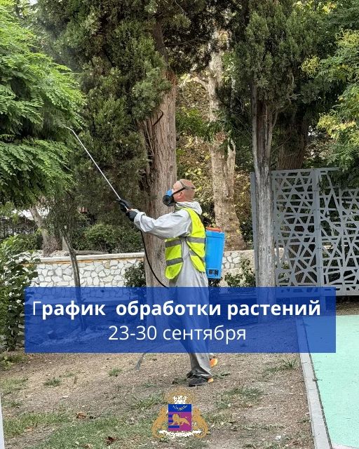 График обработки пальм и обработки от возбудителей болезней растений на территориях МБУ «Зеленстрой»