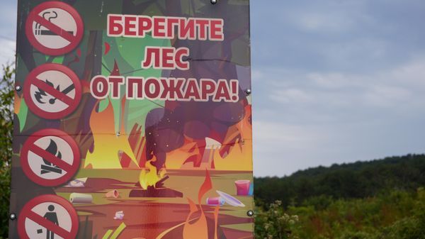 Чрезвычайная пожарная опасность объявлена в некоторых районах Крыма