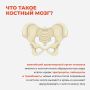 19 сентября — Всемирный день донора костного мозга