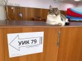 Самого строгого усатого наблюдателя заметили на избирательном участке в СевГУ