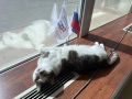 677 тысяч крымчан уже отдали свой голос на выборах по состоянию на 15:00 20 сентября