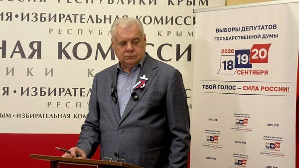Малышев назвал особенности прошедших в Крыму выборов