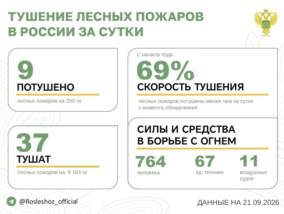 За прошедшие сутки в 7 регионах России потушили 9 лесных пожаров