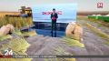 Аграрии получили около 43 тысяч тонн льна
