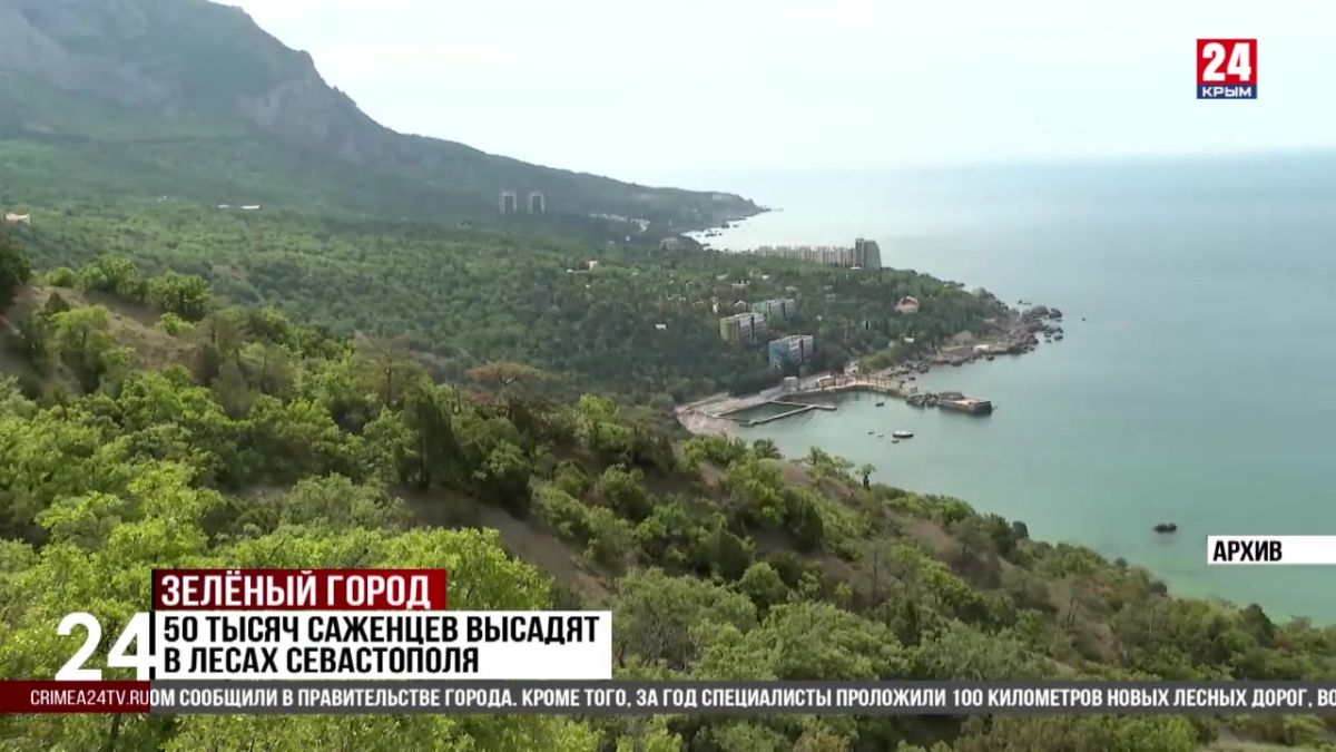50 тысяч саженцев высадят в лесах Севастополя