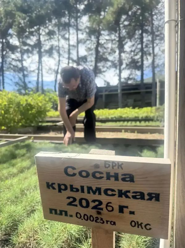 Началась ежегодная осенняя инвентаризация лесных культур, питомников, а также объектов лесного семеноводства. Началась ежегодная осенняя инвентаризация лесных культур, питомников, а также объектов лесного семеноводства.