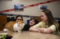 Кот Мостик: Понедельник. Я на работе первый