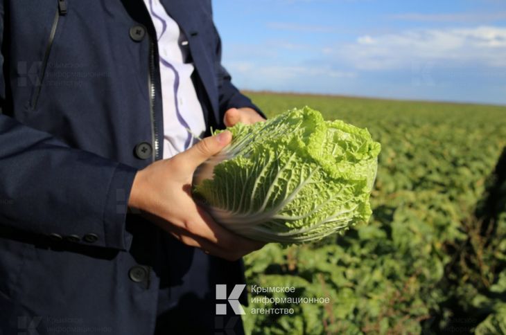 Херсонский сельхозагрегатор будет поставлять продукцию в Крым