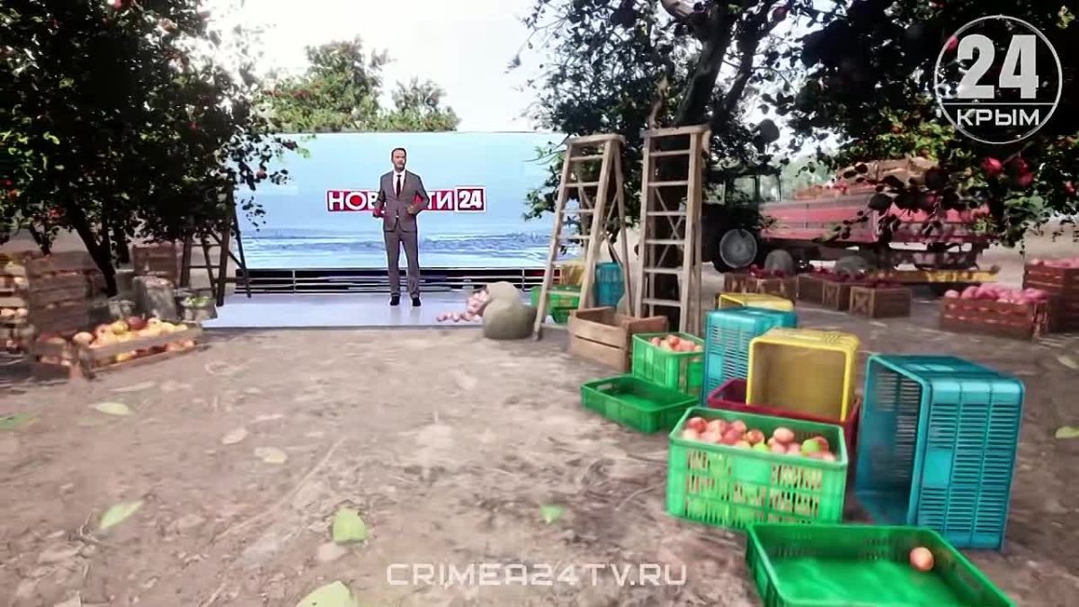 Крымские аграрии собрали 9,5 тысяч тонн яблок