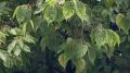 � ����� ��������� ��������� ��������������
