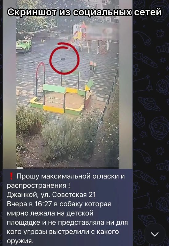 В ходе мониторинга сети Интернет полицейские выявили публикацию, автор которой сообщает о том, что в городе Джанкой неизвестный выстрелил в собаку