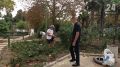 ������� �����: ������� ��������������� ������ ��������� � ��������� ���� ����