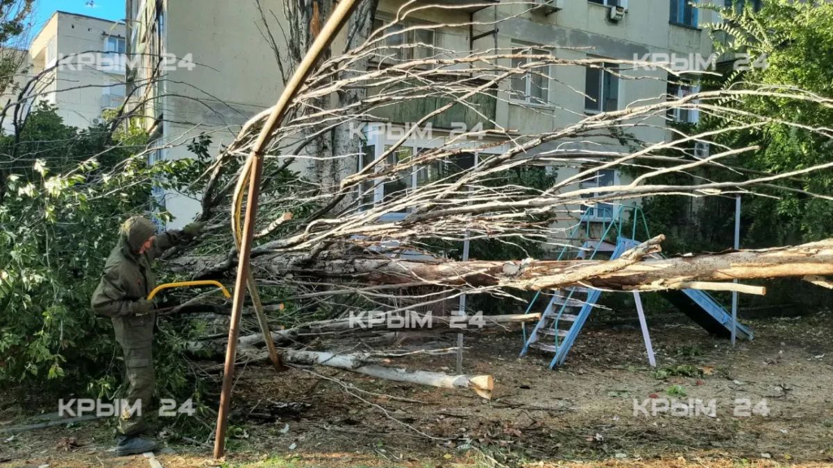 Упавшее дерево повредило газовую трубу в Феодосии Упавшее дерево повредило газовую трубу в Феодосии