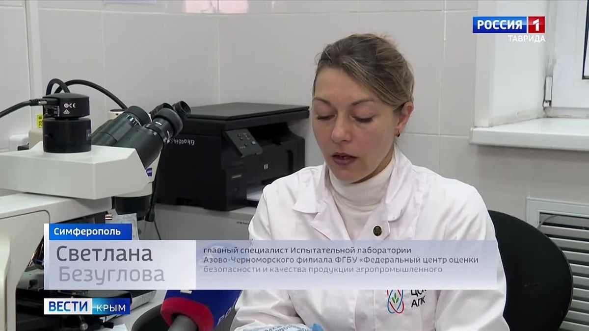 Образцы феромонных ловушек: какие исследования проведут крымские специалисты?