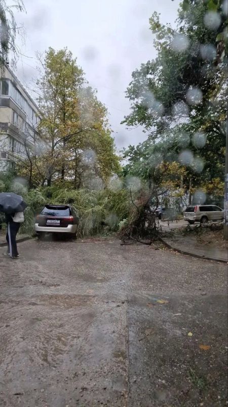 На дорогах Севастополя образовались реки — в соцсетях публикуют кадры с непогодой На дорогах Севастополя образовались реки — в соцсетях публикуют кадры с непогодой