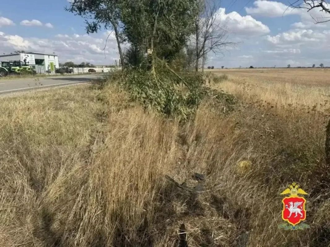 Машина всмятку: в Крыму подросток на иномарке врезался в дерево Машина всмятку: в Крыму подросток на иномарке врезался в дерево