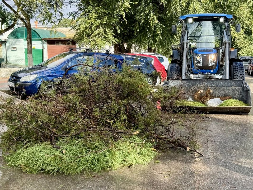 Виталий Оганесян: В результате непогоды в разных районах города были повалены деревья Виталий Оганесян: В результате непогоды в разных районах города были повалены деревья